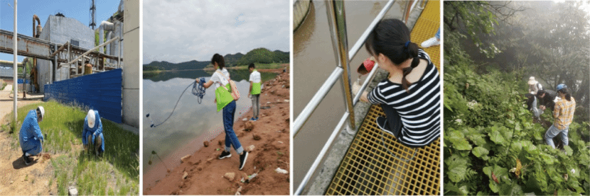 香港六合彩论坛