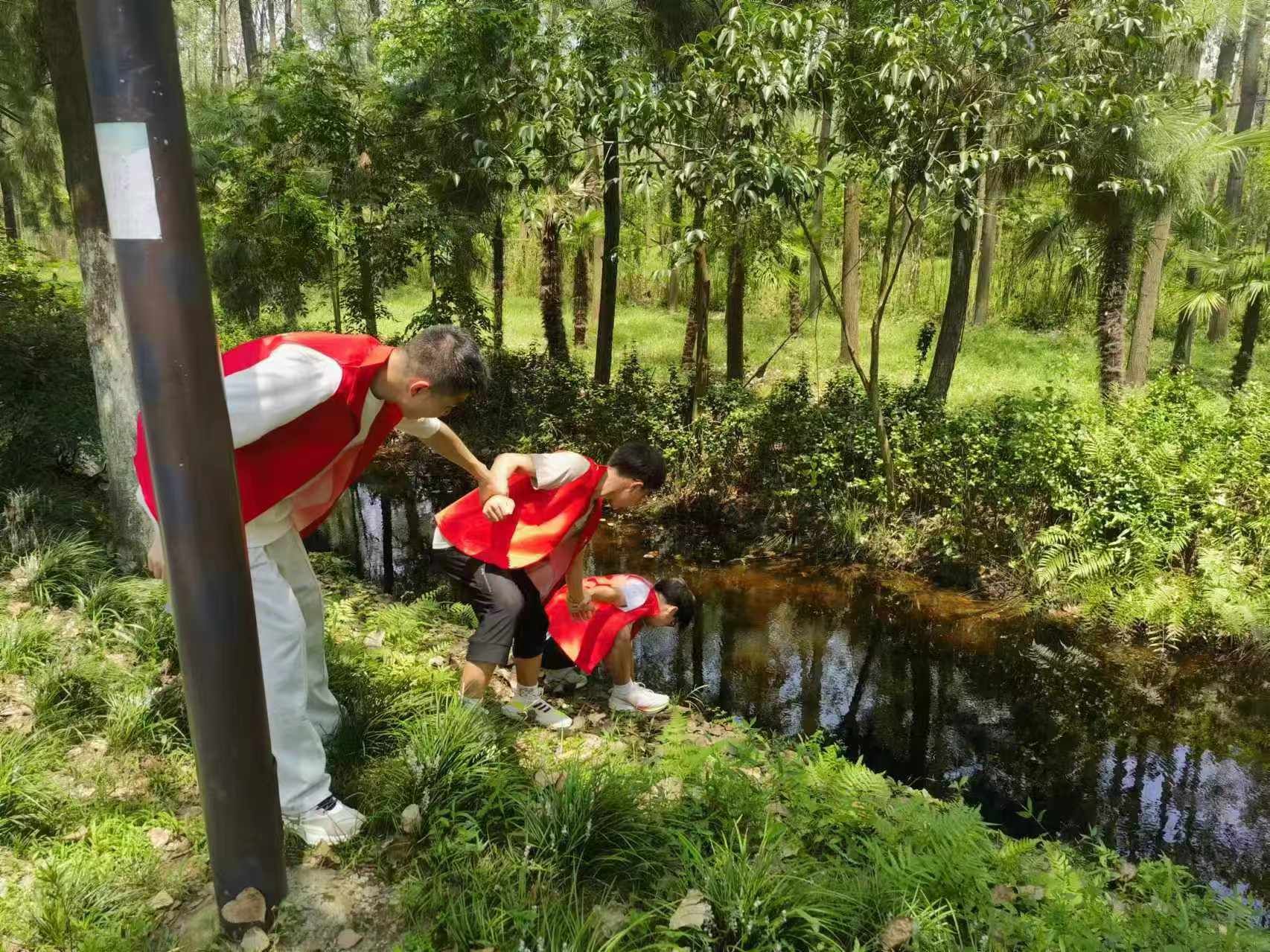 香港六合彩论坛